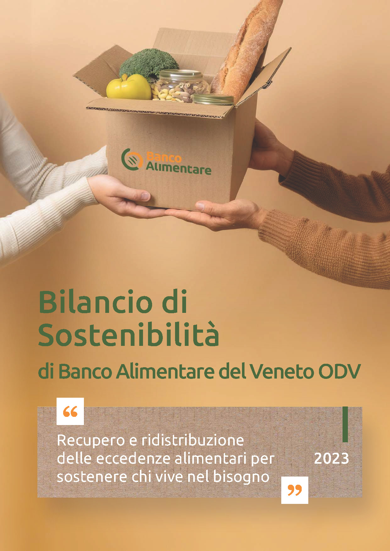 Copertina Bilancio Sociale 2023 Veneto